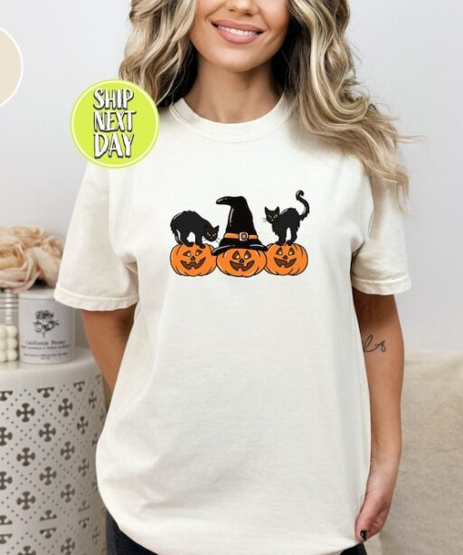 Black Cat on Pumpkin shirt, Shirt for fall, Vintage Halloween, Spooky Season Shirt,Black Cat Design, Fall Shirt, iprintasty halloween -HC014