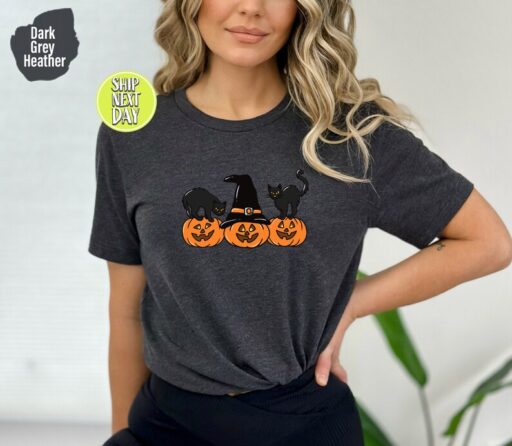 Black Cat on Pumpkin shirt, Shirt for fall, Vintage Halloween, Spooky Season Shirt,Black Cat Design, Fall Shirt, iprintasty halloween -HC014