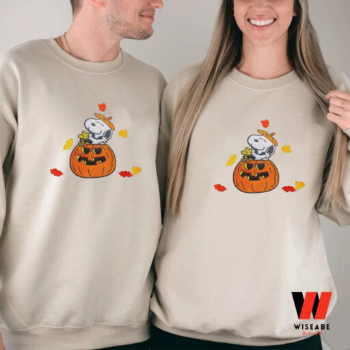 Embroidered Snoopy Dog Halloween Pumpkin Sweatshirt, Hug Fall Halloween, Halloween Cartoon Dog shirt