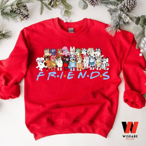 Bluey Friends Christmas Sweatshirt, Friends Matching Christmas