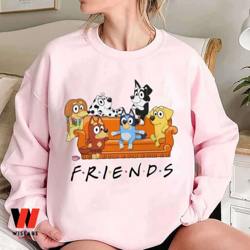 Friends Bluey Bingo Sweatshirt, Bluey Fans Gift