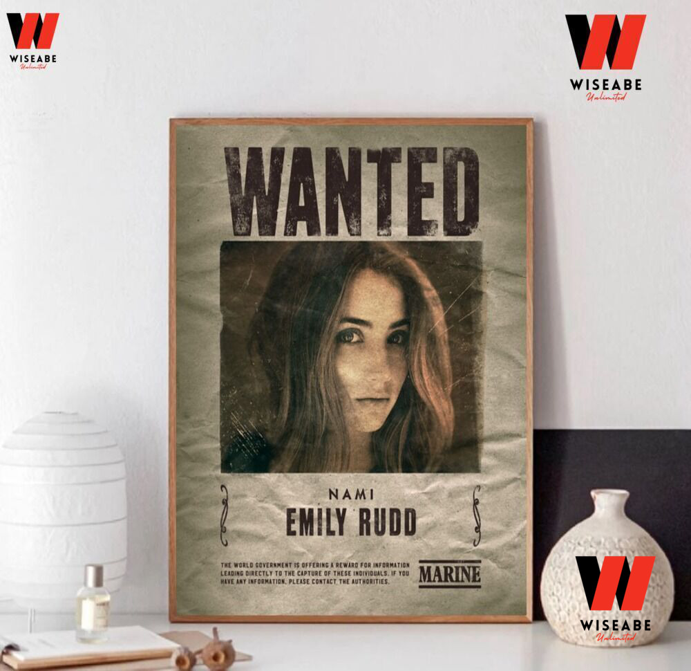one piece nami wanted poster