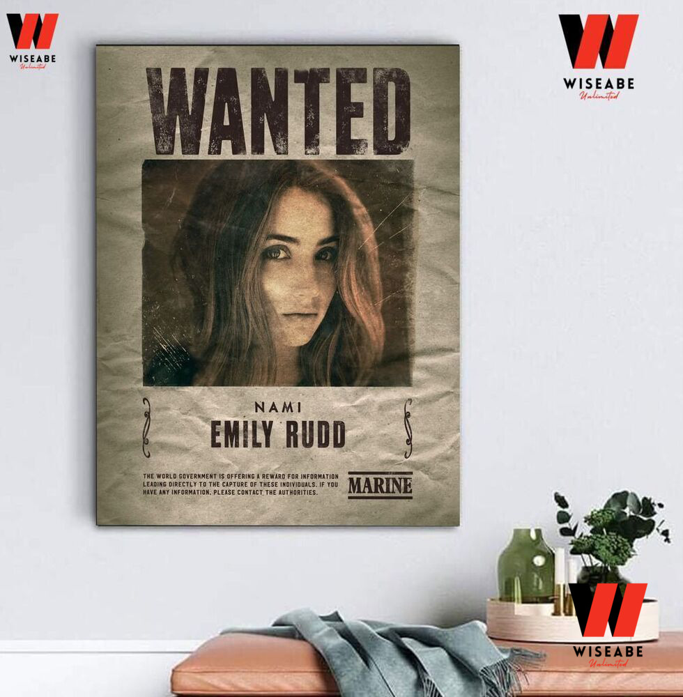 Bounty posters in One Piece live-action