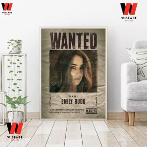 Netflix One Piece Live-Action Website Lets You Make Your Own Wanted Poster