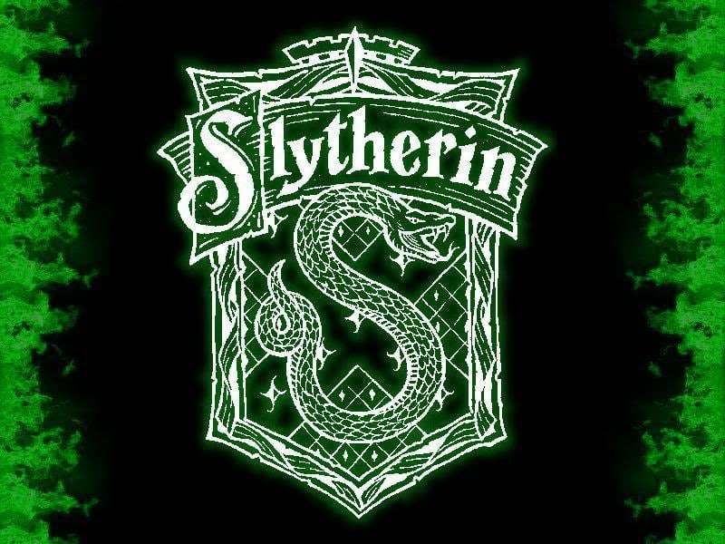 I Dont Give A Slythershirt Magic Harry Potter Coffee Mug , Harry