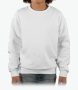 Youth Sweatshirt