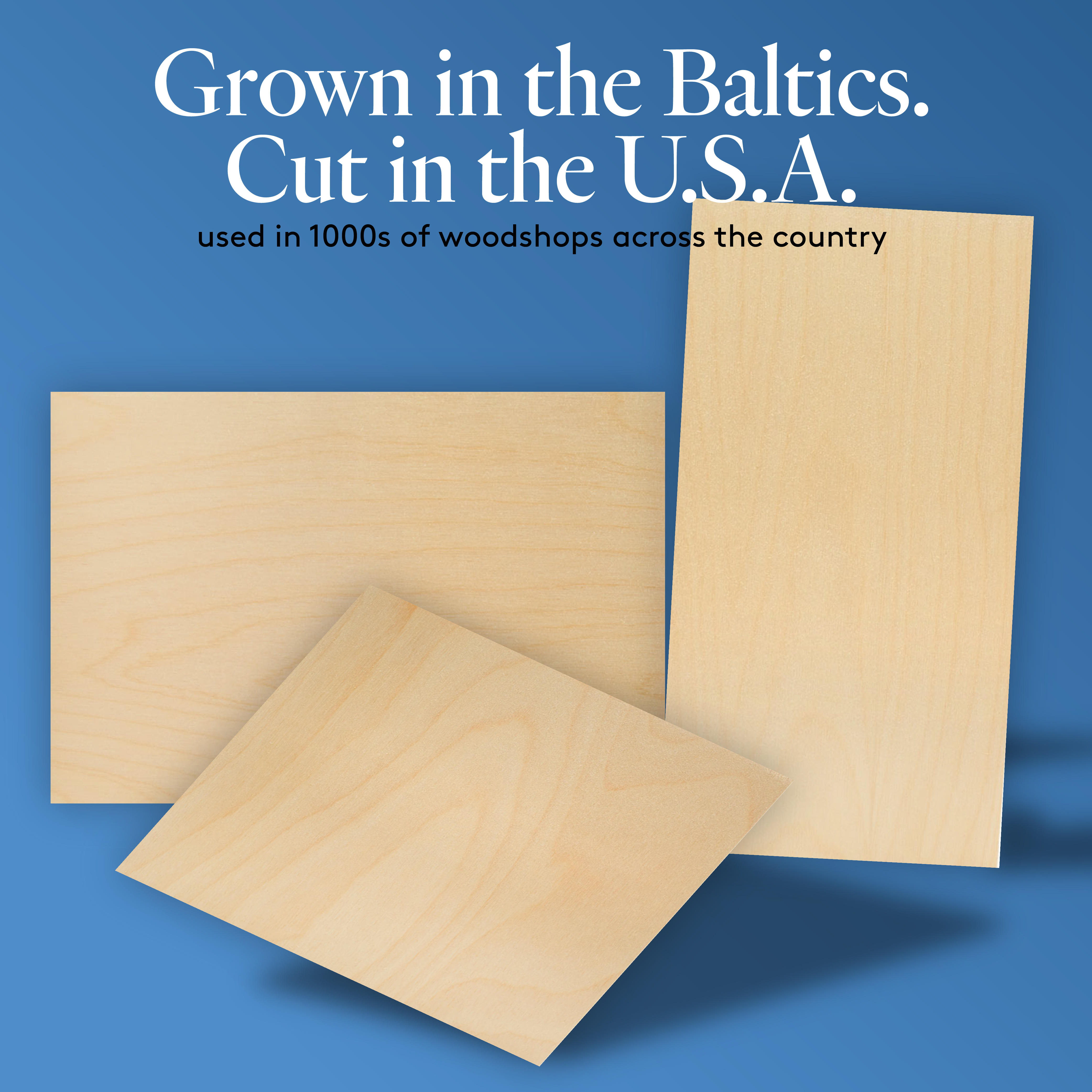 Baltic Birch Plywood, 12 mm 1/2 x 12 x 12 Inch, B/BB Grade Sheets| Woodpeckers - Picture 9 of 14