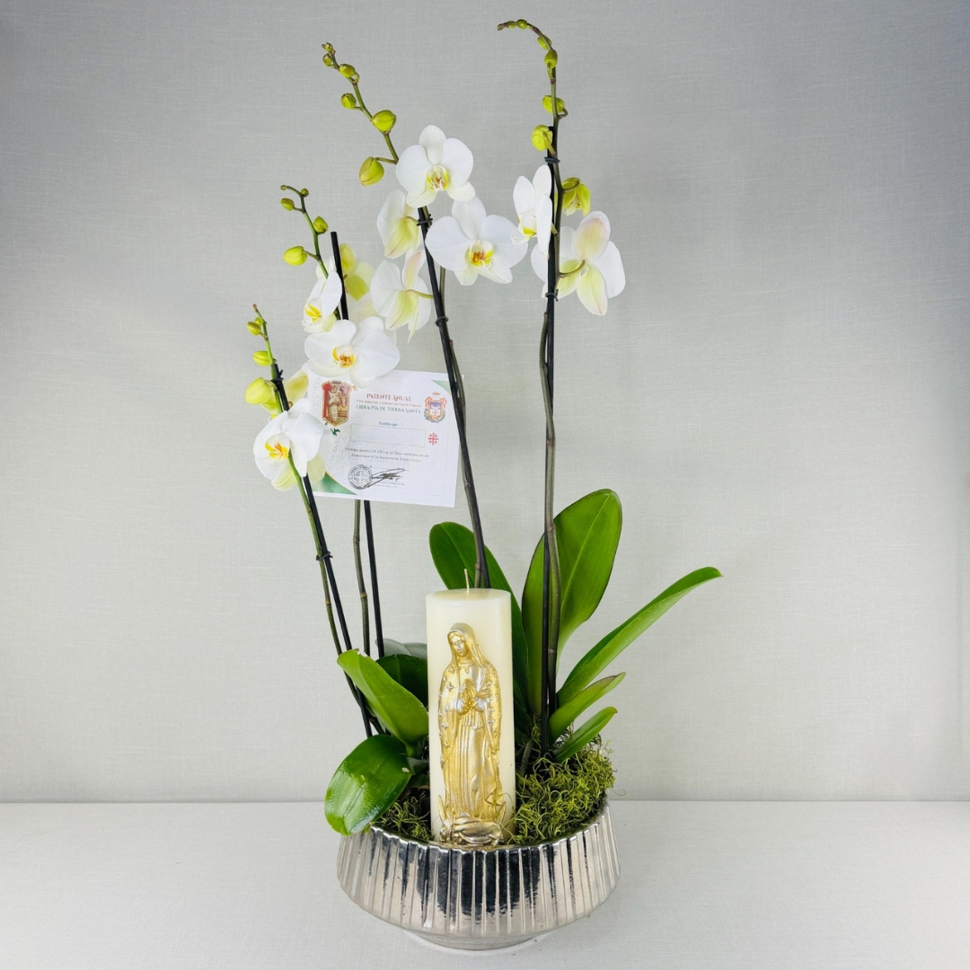 Kit Selecto 11 con orquídea blanca natural en maceta plateada y cirio de Virgen dorada