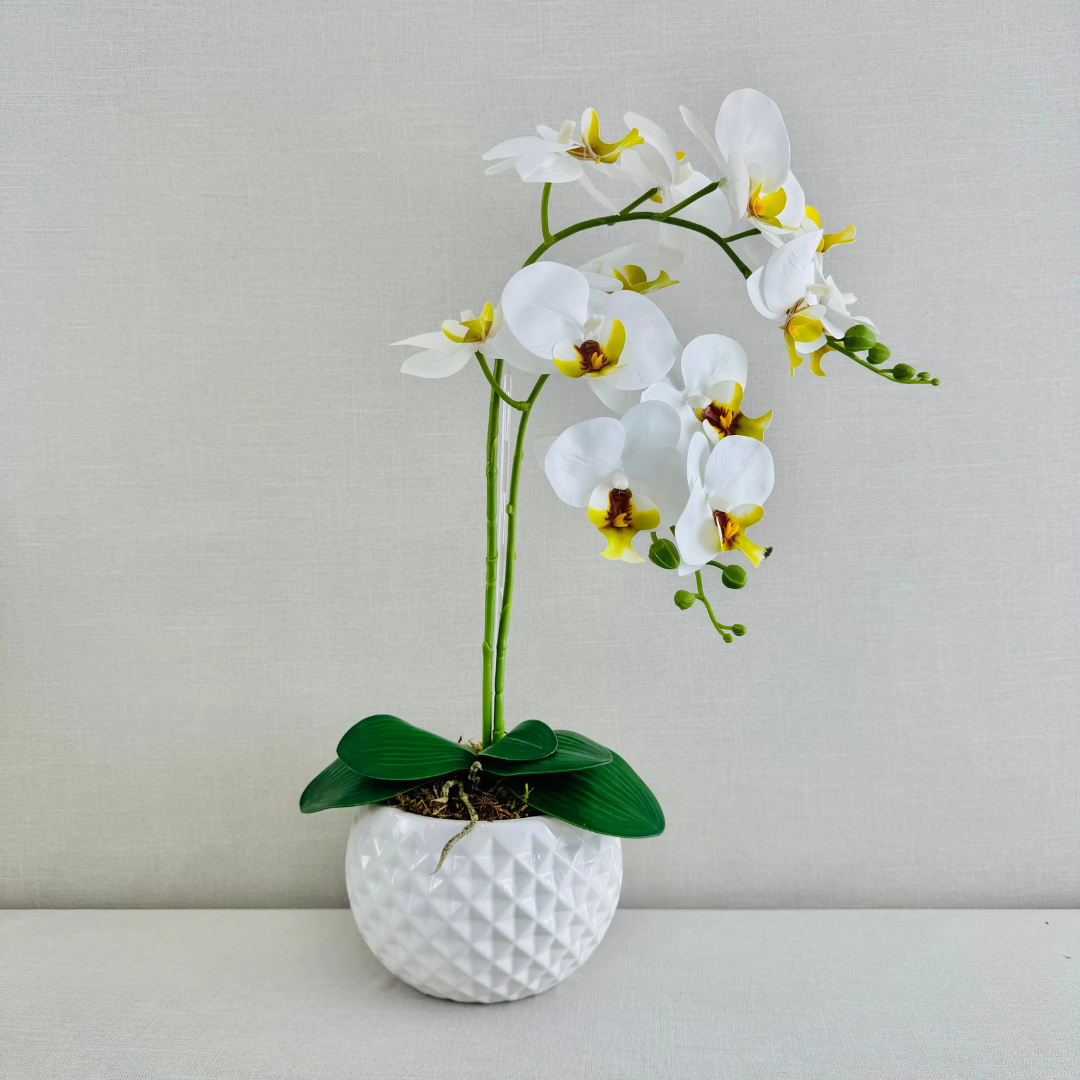 Orquídea artificial blanca de una vara en maceta blanca texturizada sobre fondo gris