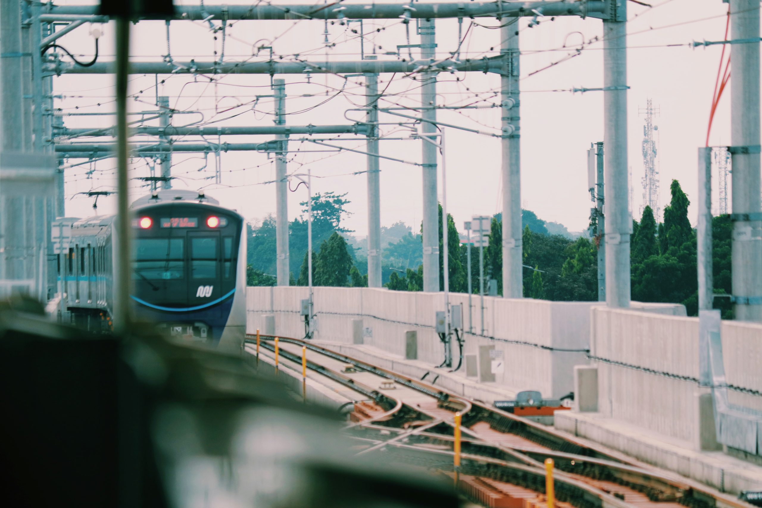 anisetus-palma-UcEqWxwy2po-unsplash