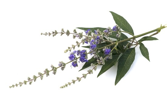 What the heck is vitex