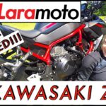 Kawasaki ZH2 by Laramoto