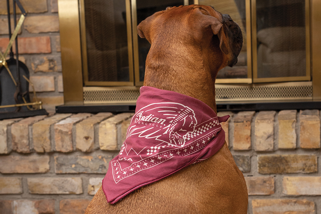 Treat Your Pets With Indian Motorcycle Gifts This Christmas