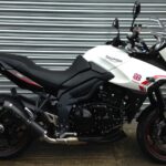 Pipe Werx Triumph Tiger 1050 Low-Level Exhaust