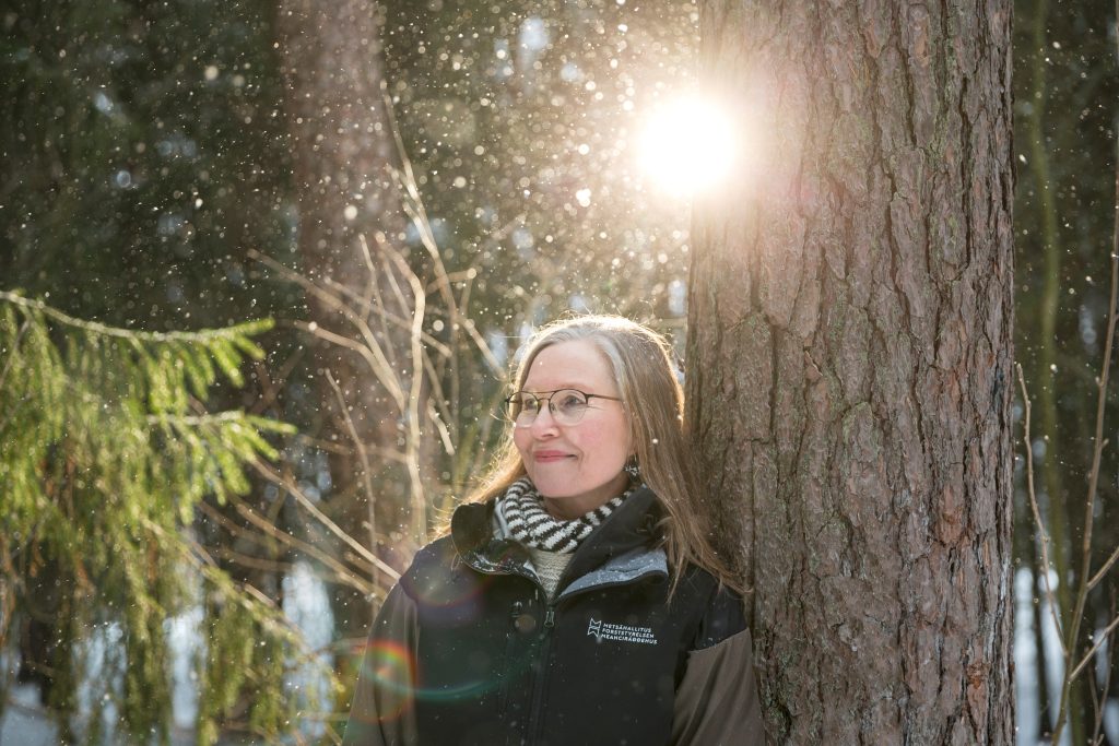 Metsä rauhoittaa mielen