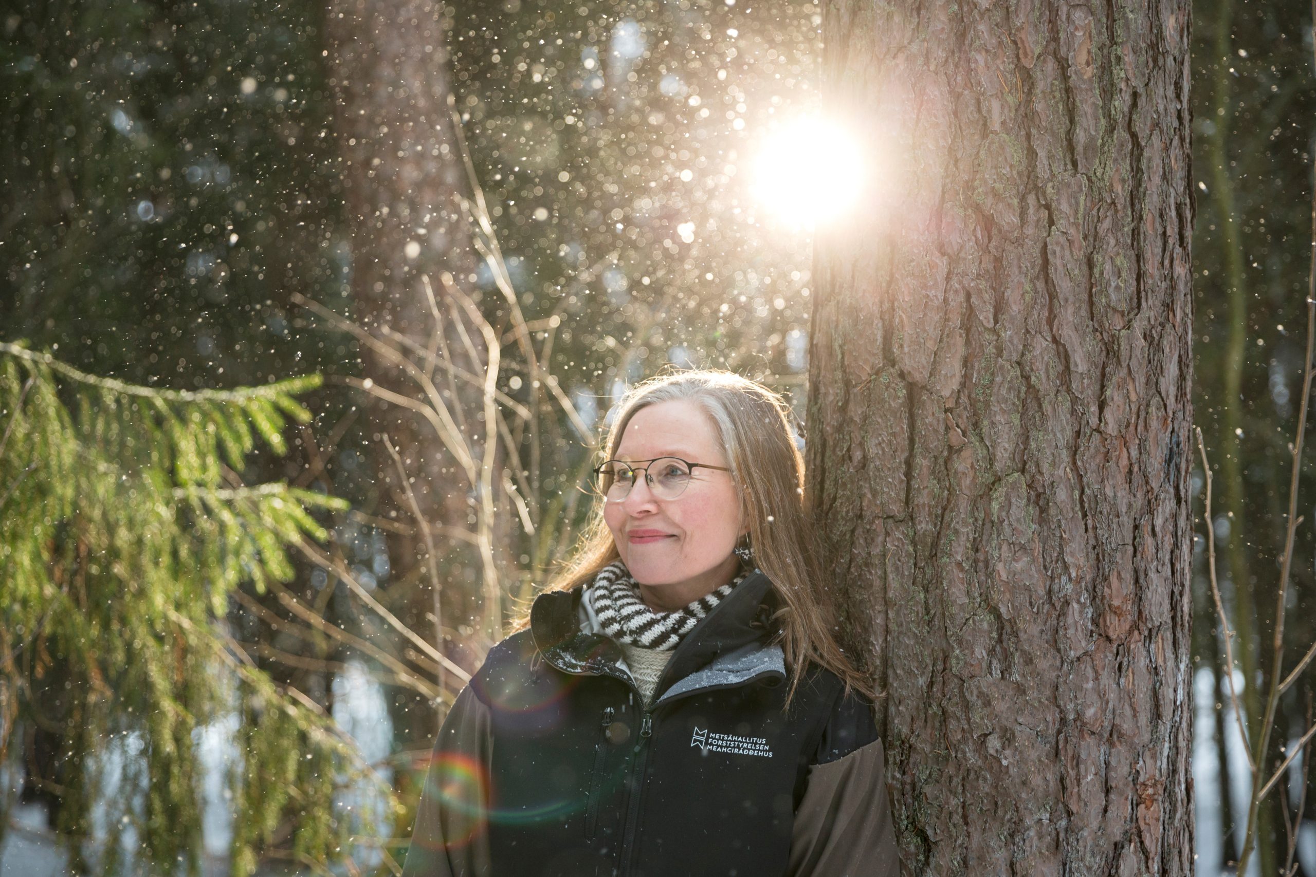 Metsä rauhoittaa mielen