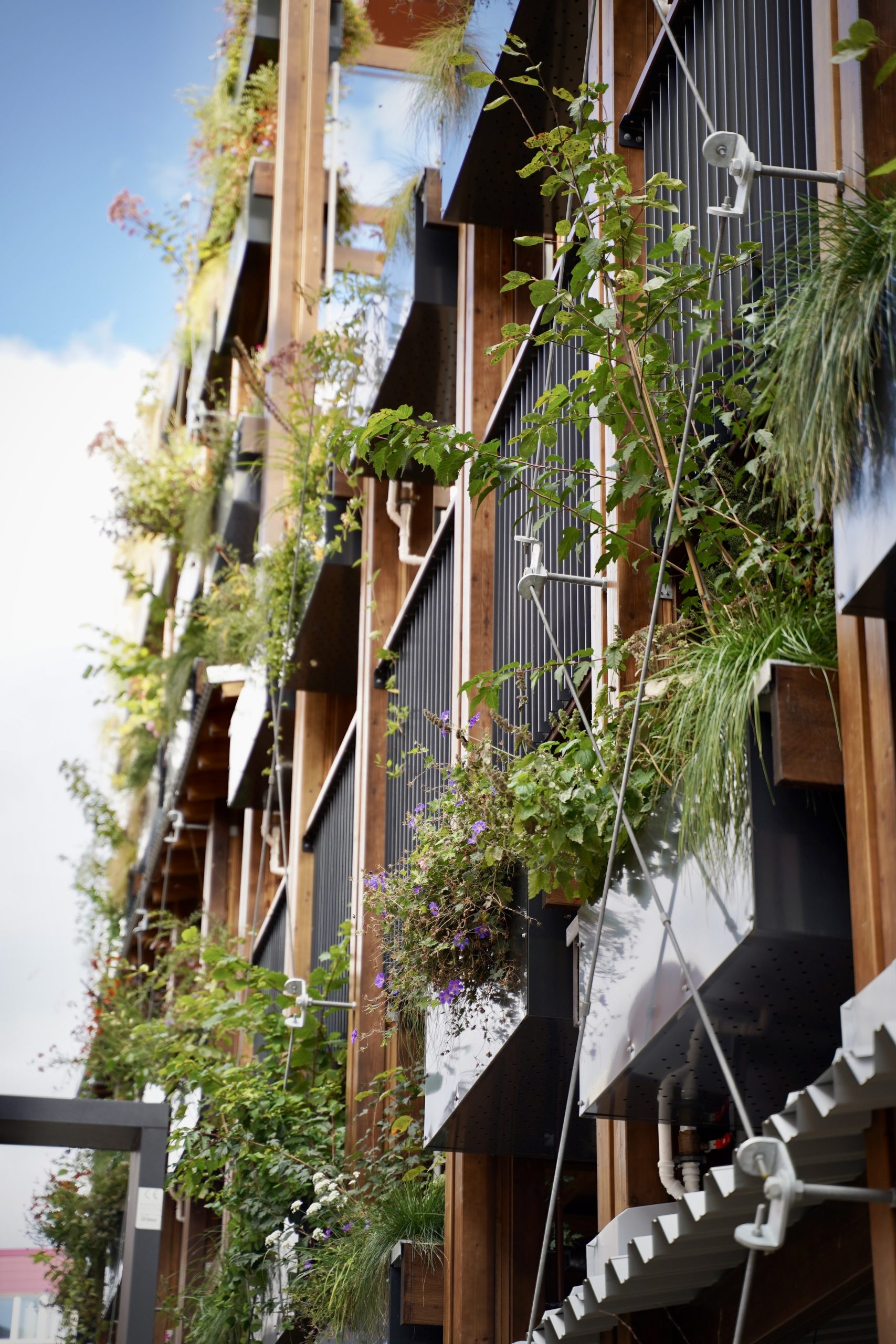 Viherseinä Jussinaukiolla