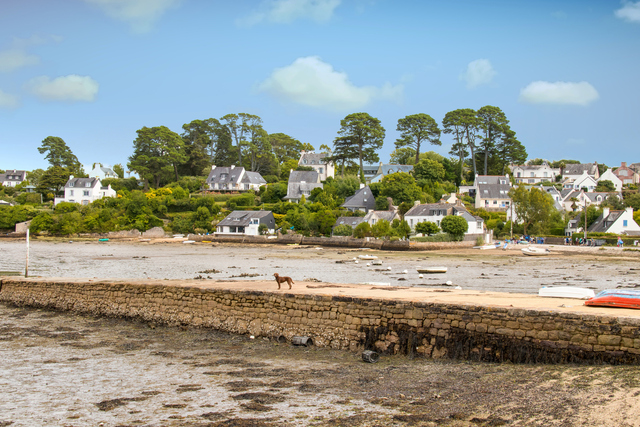 Immobilier Bord De Mer Morbihan