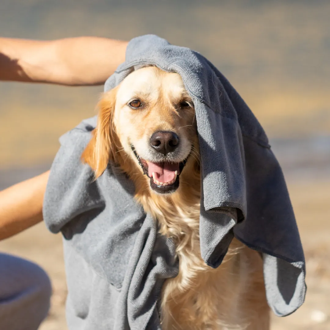 Brindes para Pet Lovers