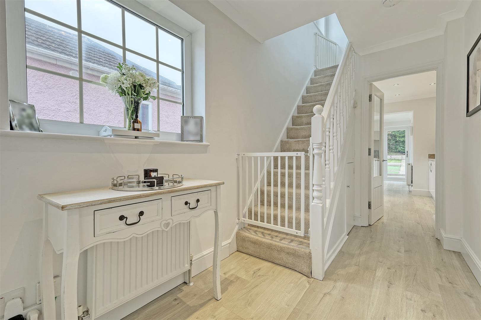 HyvKdnkx8k h0 oI2d4RCA.jpg