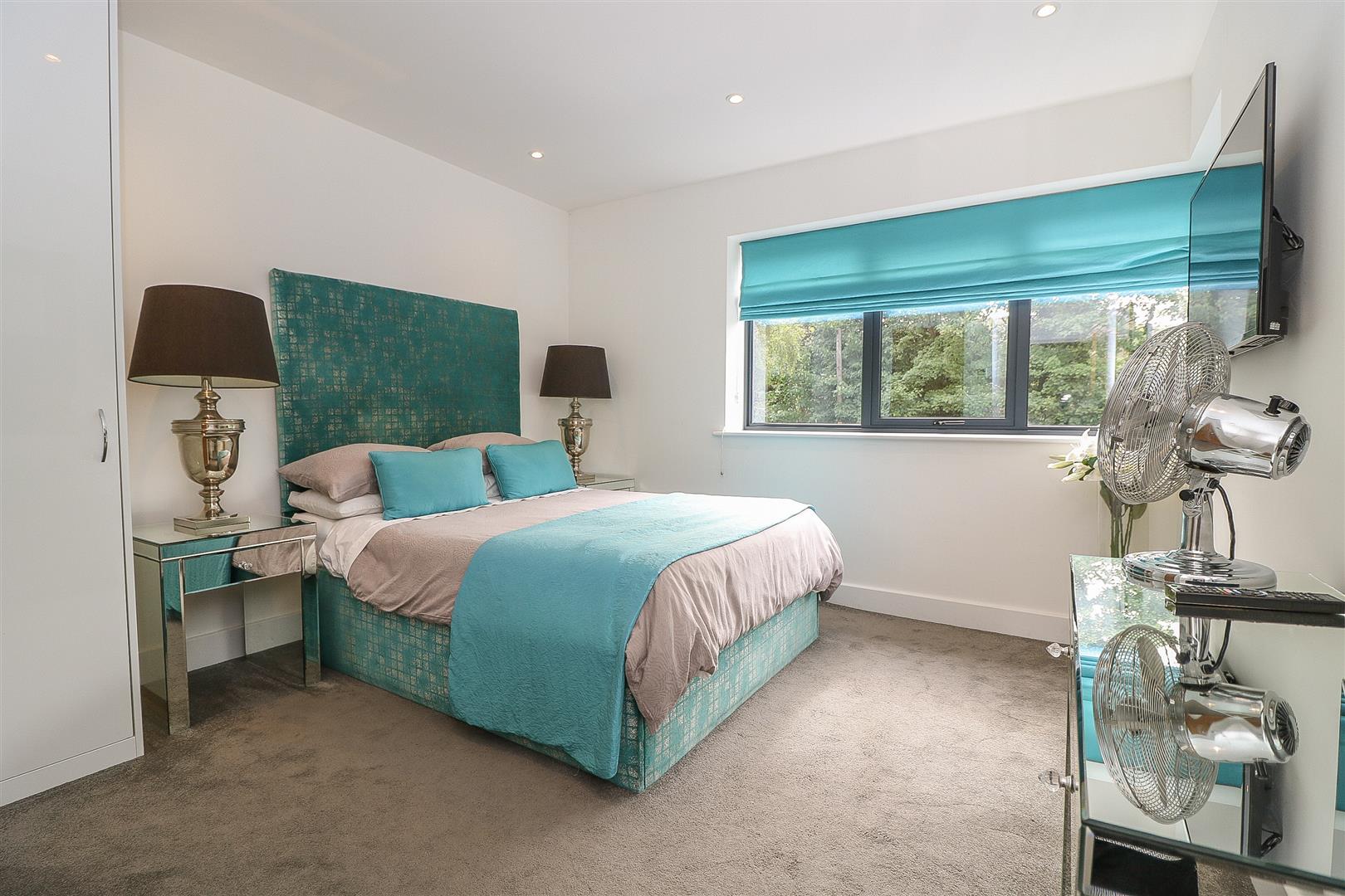 8B6xIKfwp0ywlx1pNr qew.jpg