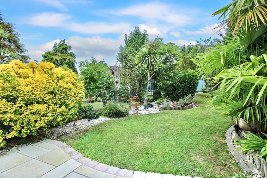 uFv qMESyEOl1S3pNevFkA.jpg