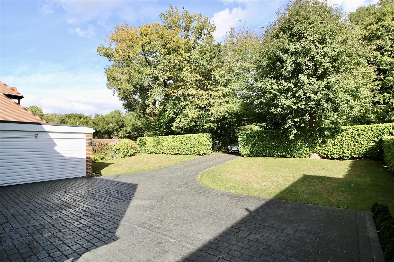 au2TEjdFEkCuV IK8GxLgA.jpg