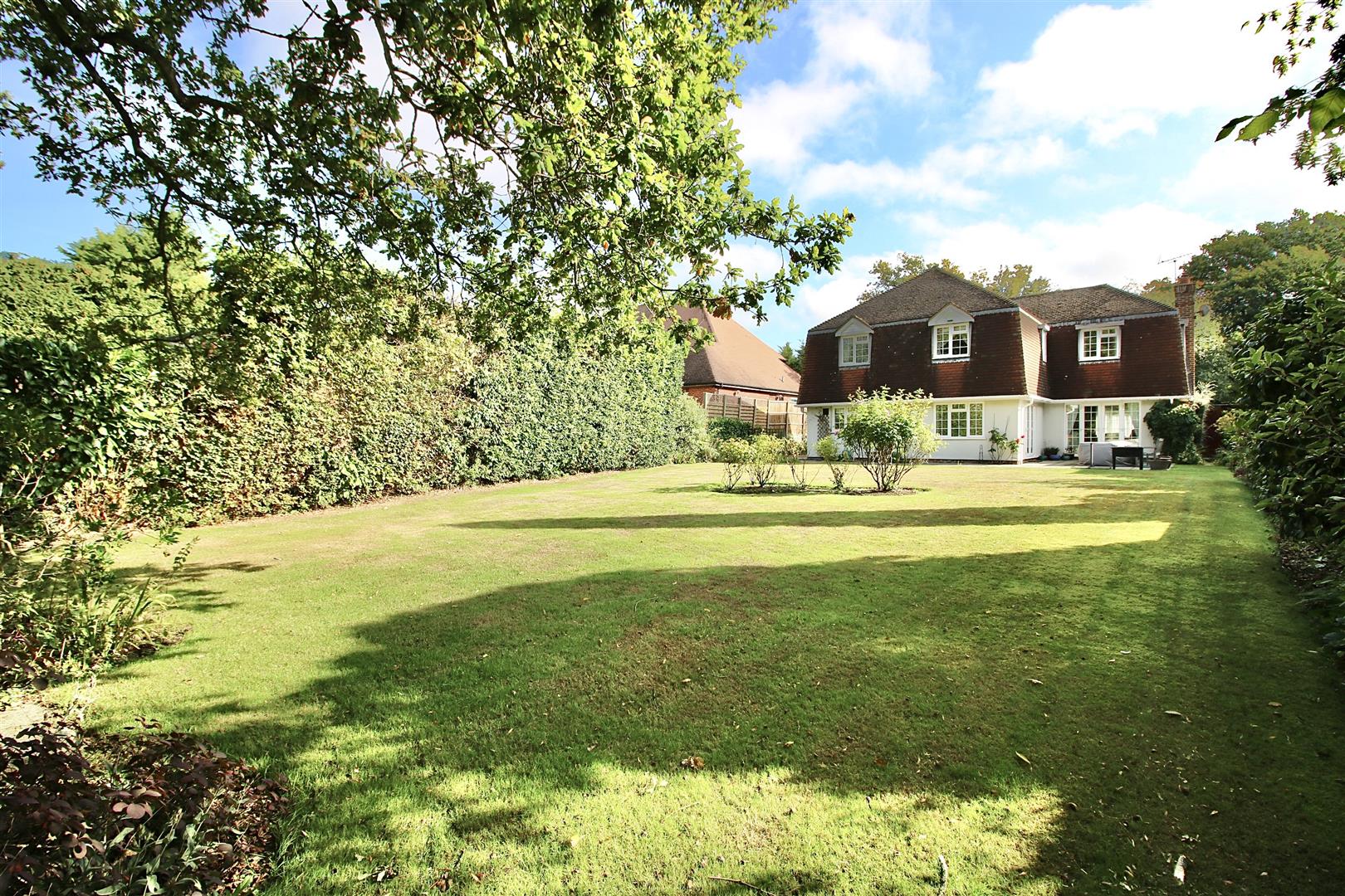 cXL8i xVS02JibNPvgEUUw.jpg