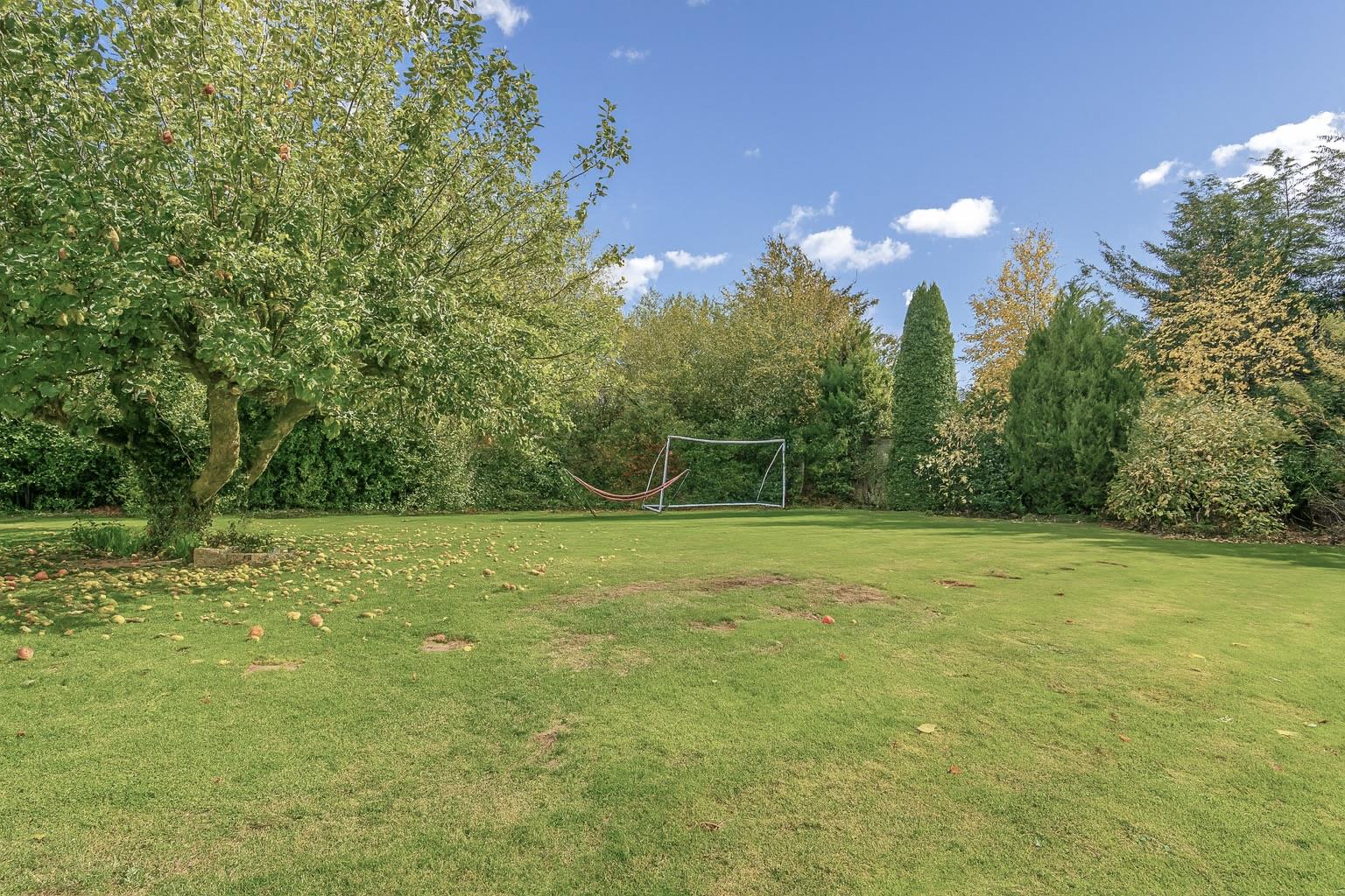 J8mtkSnyvU LGrNSw1VpfA.jpg