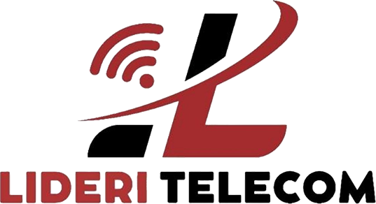 Logo Lideri