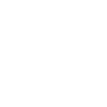 Ícone Site personalizado
