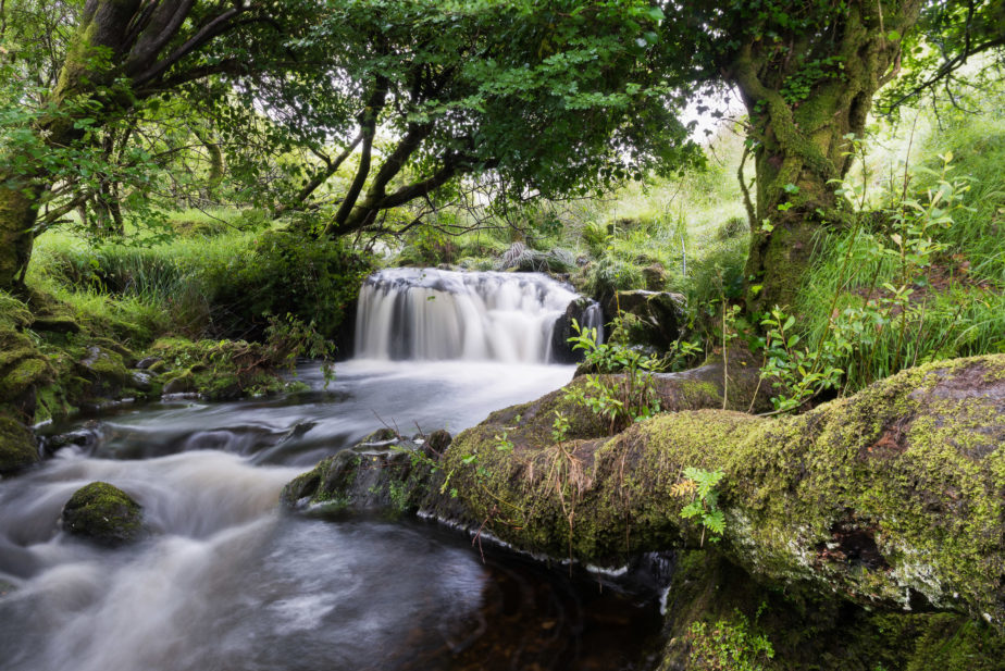 Waterfall, County Kerry, Ireland