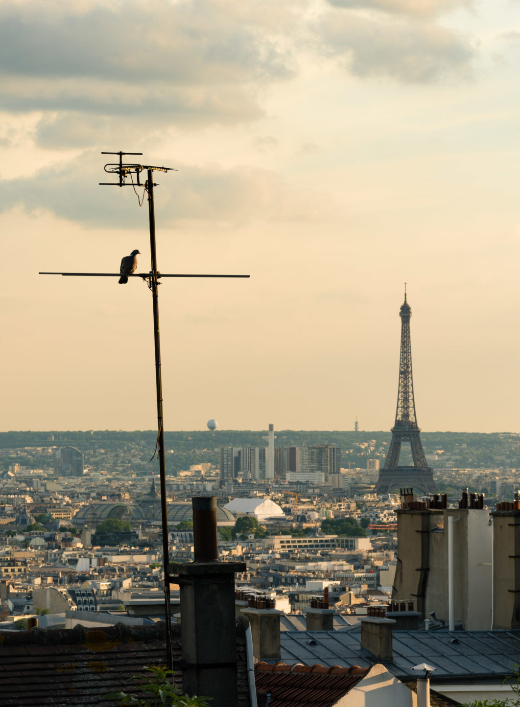 Golden Hour, Paris, France