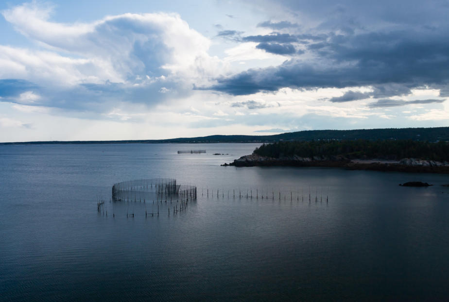 Fishing Weir, Grand Manan Island, Canada