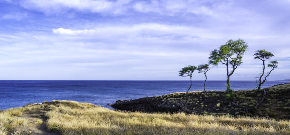 Seaside Vista, Kaunaoa Point, Kona, Hawaii