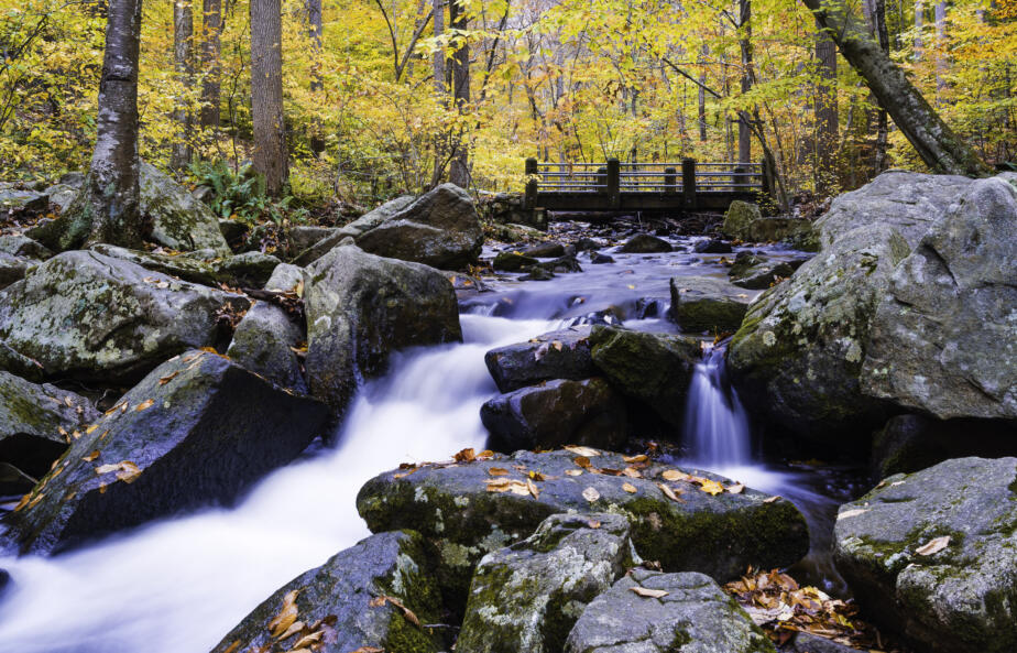 Falls and Foliage, Hacklebarney State Park, New Jersey