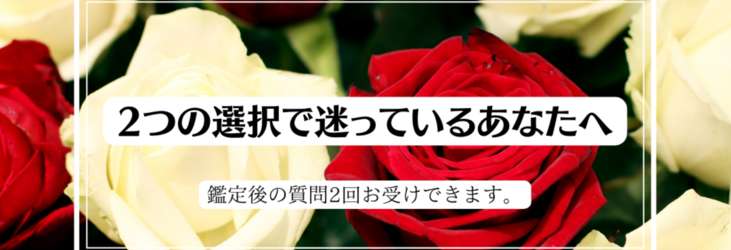 アイテム画像