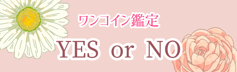 【ワンコイン】YES or NO 占い