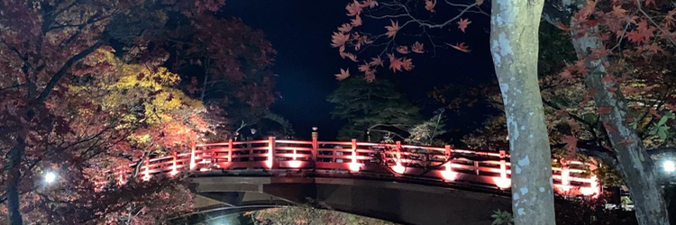アイテム画像