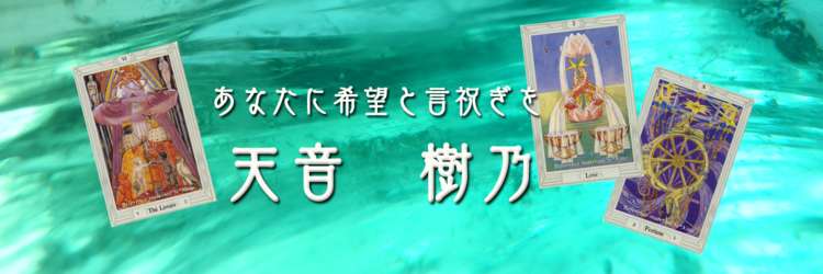 天音 樹乃の直接鑑定