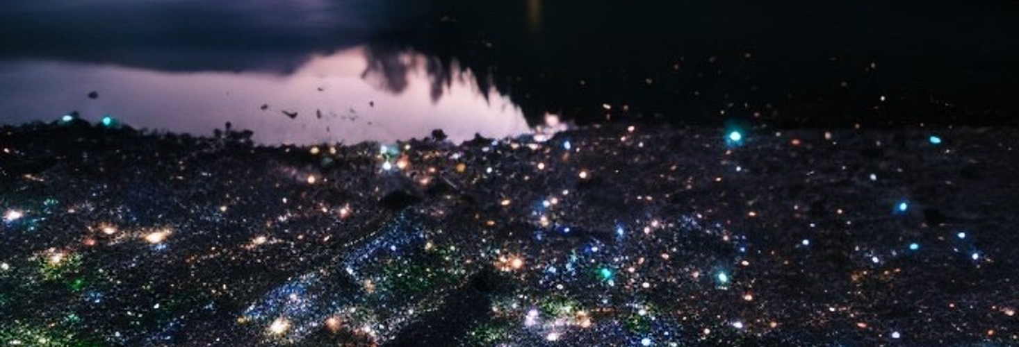 瑞星の直接鑑定