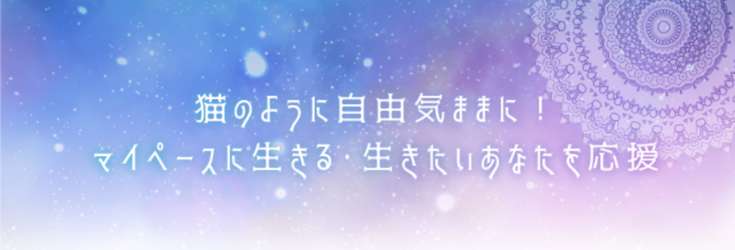 星乃ネコの直接鑑定