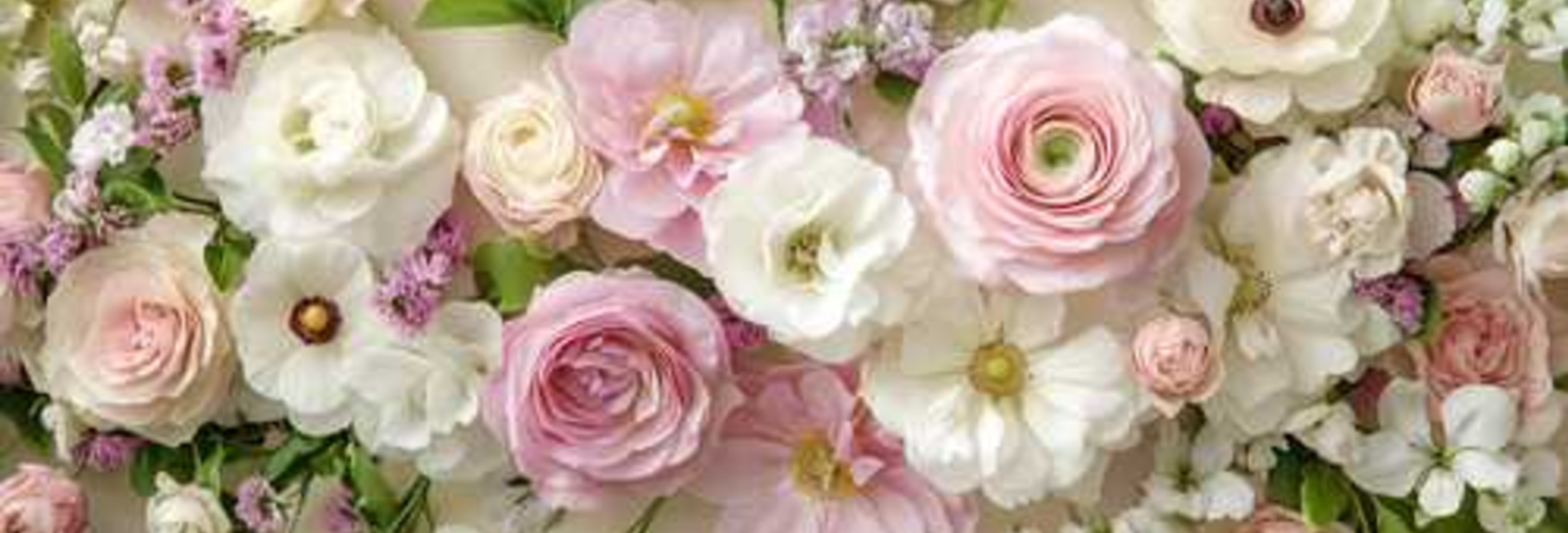 ~舞花~の直接鑑定