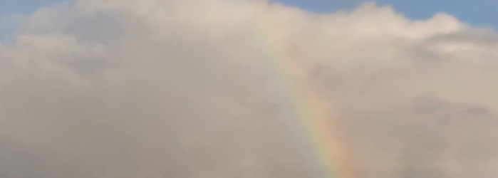 水野葉月の直接鑑定