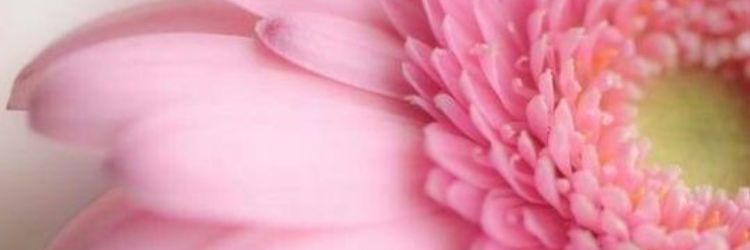 🌸結花🌸の直接鑑定