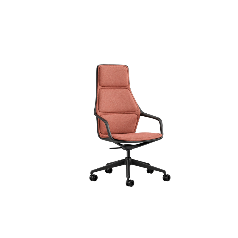 Ray Work Task Chair