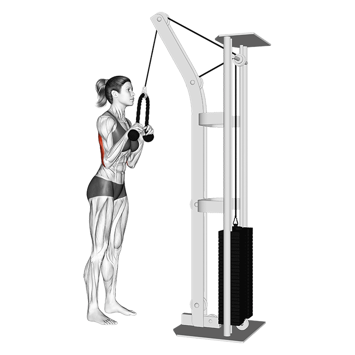 Taljapunnerrus - harjoituksen suoritus