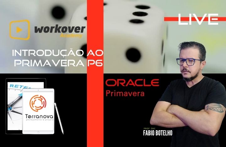 Introdução ao Oracle  Primavera P6