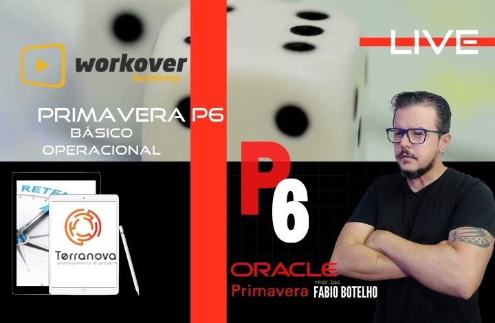 Oracle Primavera P6 Básico