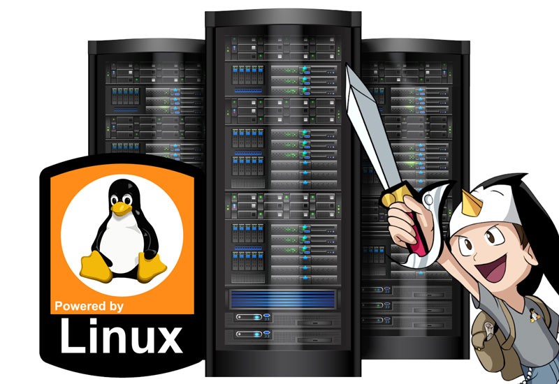 Linux: Da migração à administração do sistema operacional